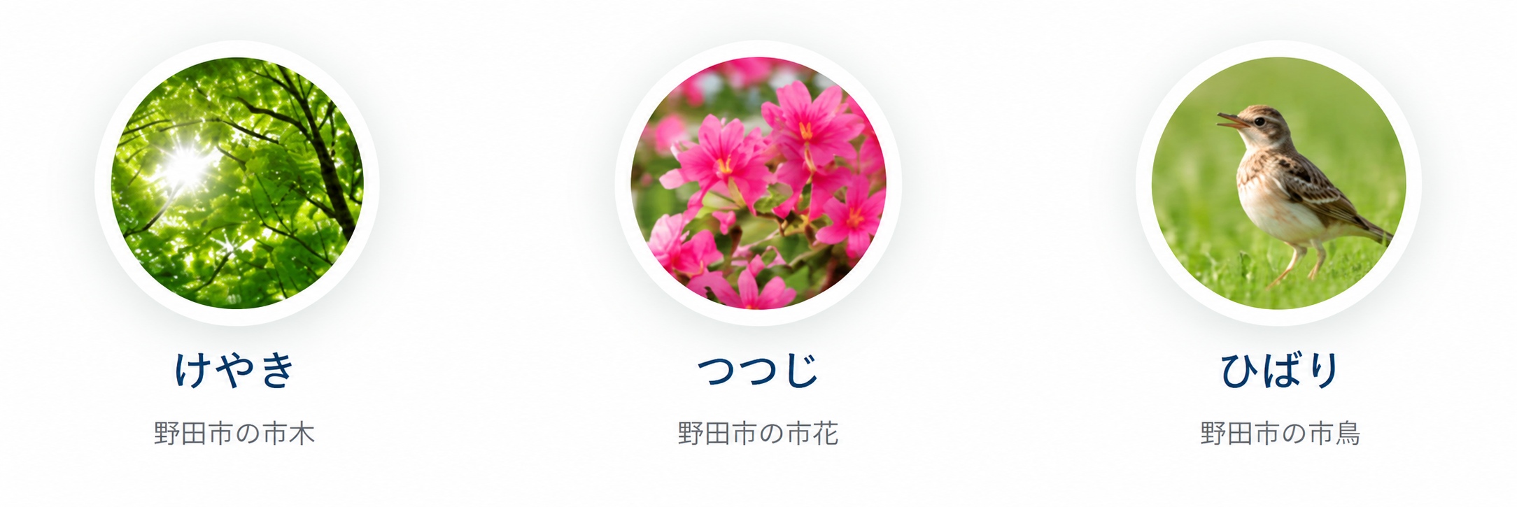 けやき 野田市の市木、つつじ 野田市の市花、ひばり 野田市の市鳥